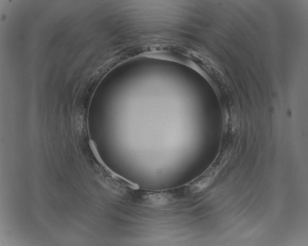 X0000073870417200608171012