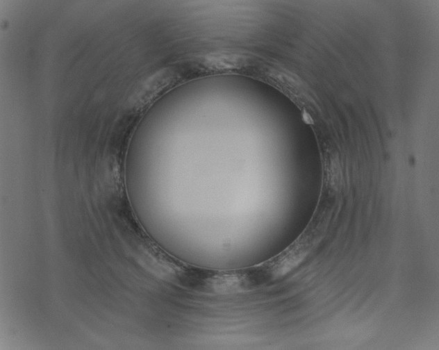 X0000073870418200608171012