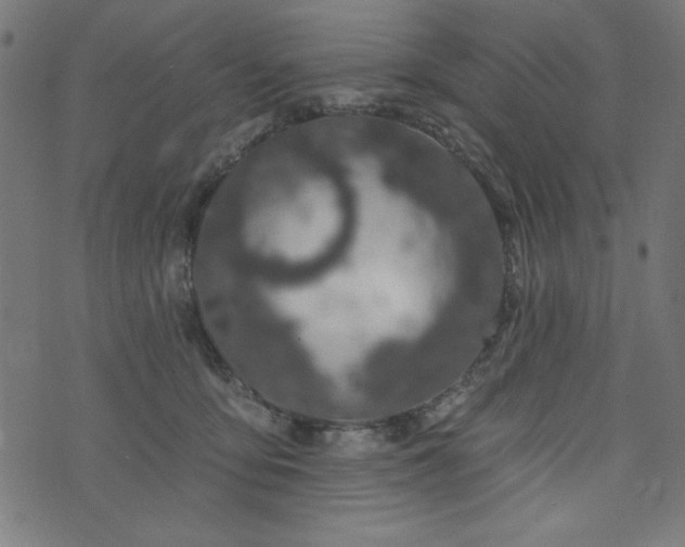 X0000073870419200608171012