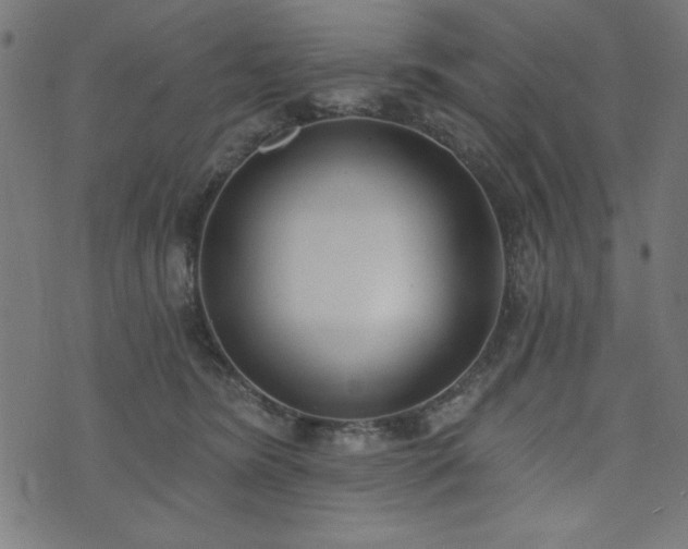 X0000073870420200608171012