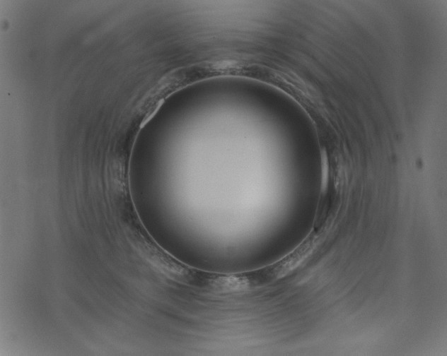 X0000073870421200608171012