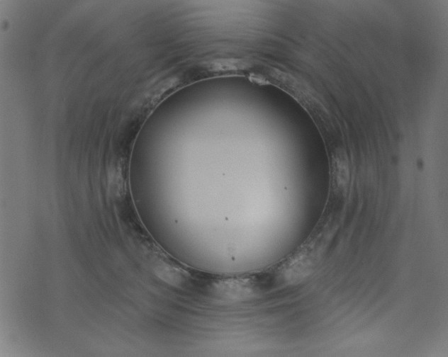 X0000073870422200608171012