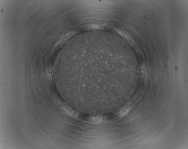 X0000073870423200608171012