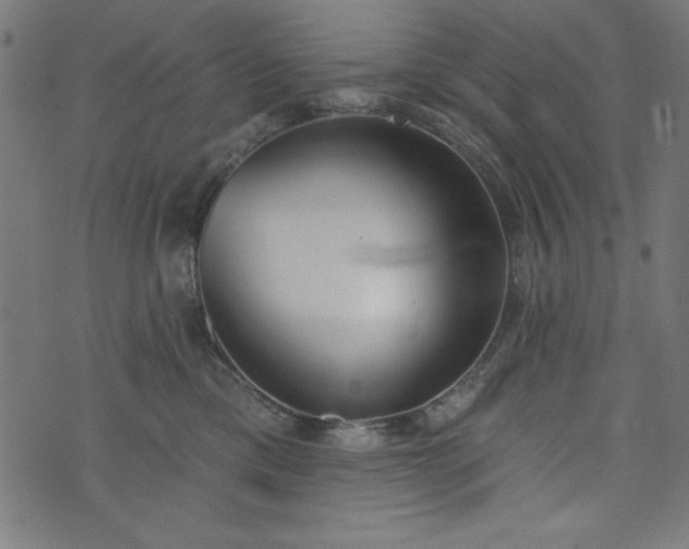 X0000073870425200608171012