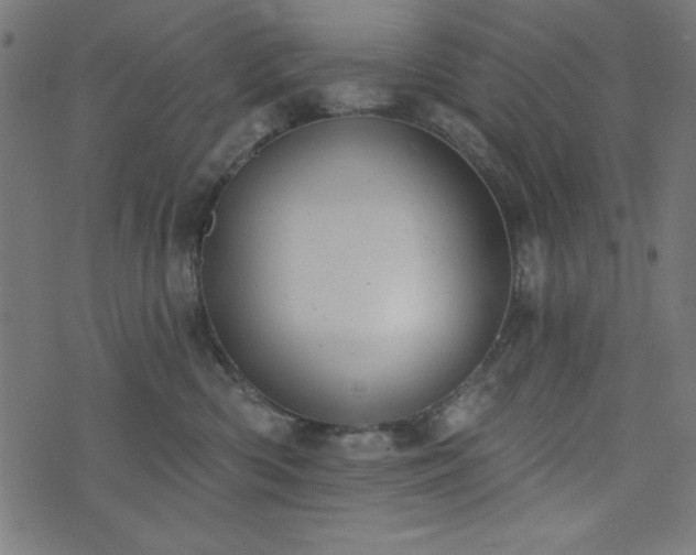 X0000073870426200608171012