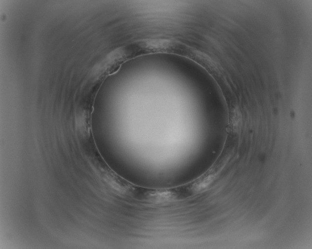 X0000073870428200608171012