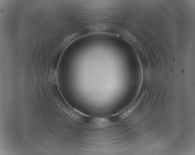 X0000073870429200608171012