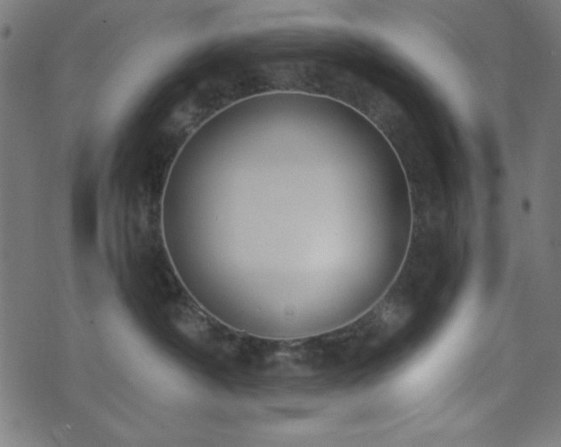 X0000073870430200608171012