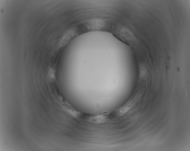 X0000073870431200608171012