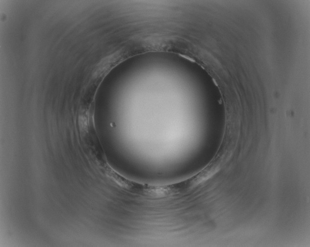 X0000073870432200608171012