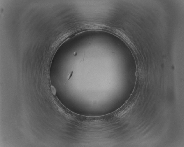 X0000073870433200608171011