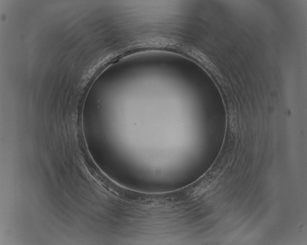 X0000073870434200608171011