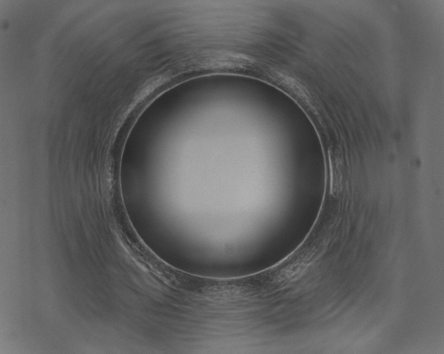 X0000073870435200608171011