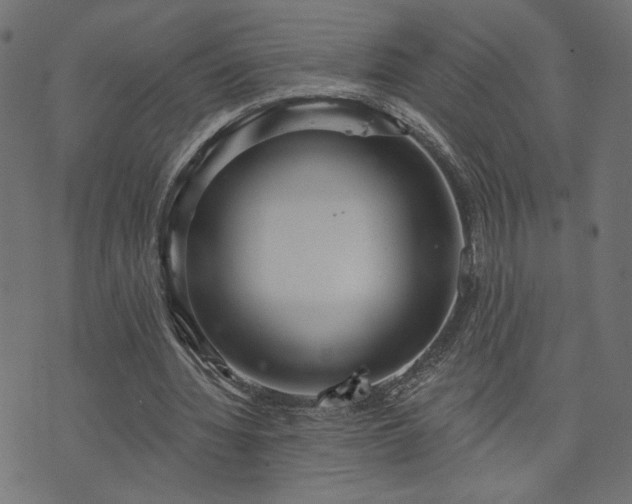 X0000073870436200608171011