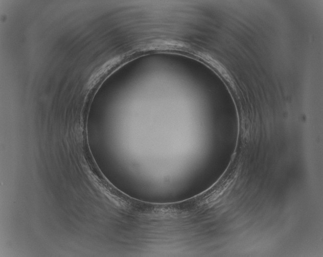 X0000073870437200608171011