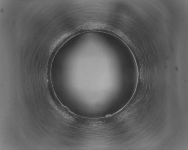 X0000073870438200608171011