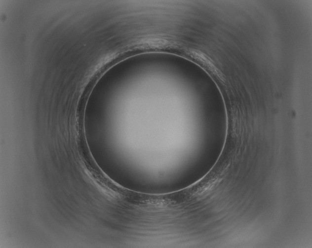 X0000073870439200608171011