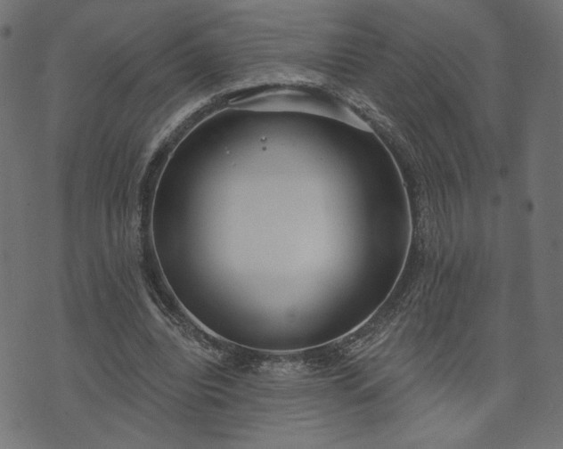 X0000073870440200608171011