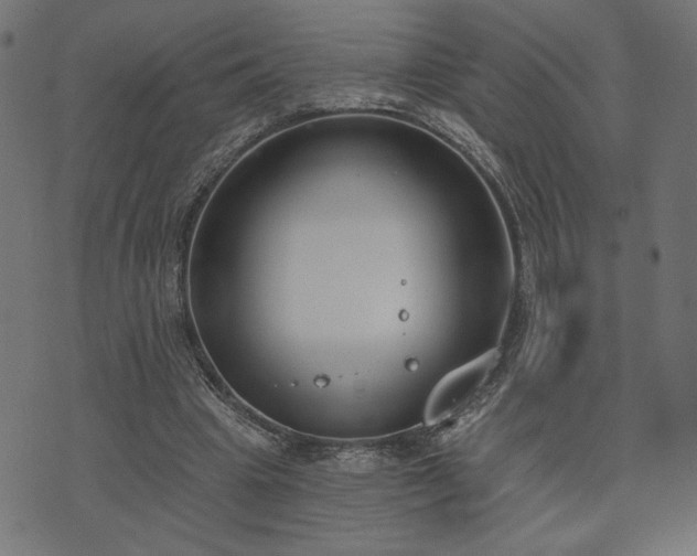 X0000073870441200608171011