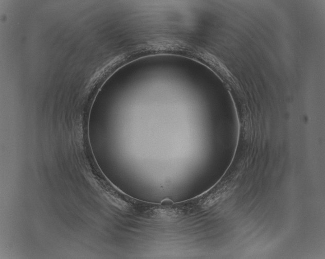 X0000073870442200608171011