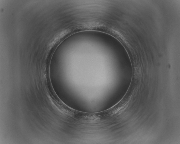 X0000073870443200608171011