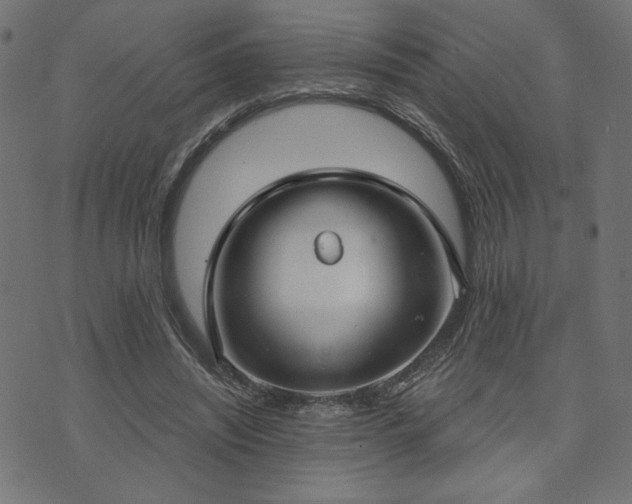 X0000073870444200608171011