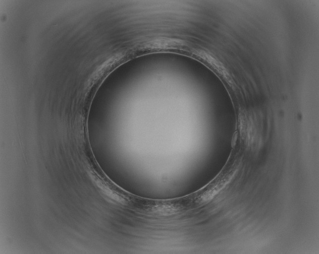 X0000073870445200608171011