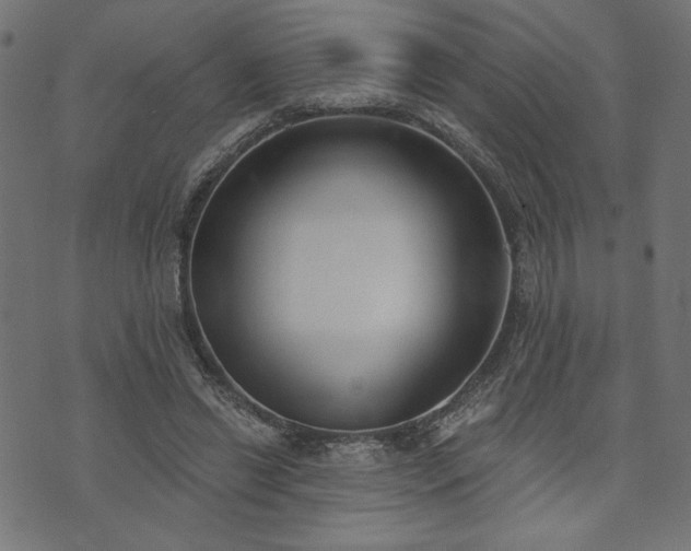 X0000073870446200608171011