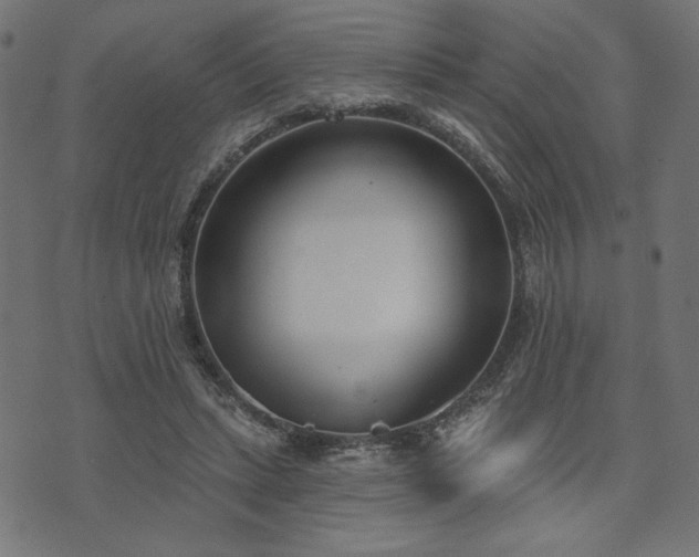 X0000073870447200608171011