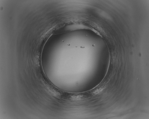 X0000073870450200608171012