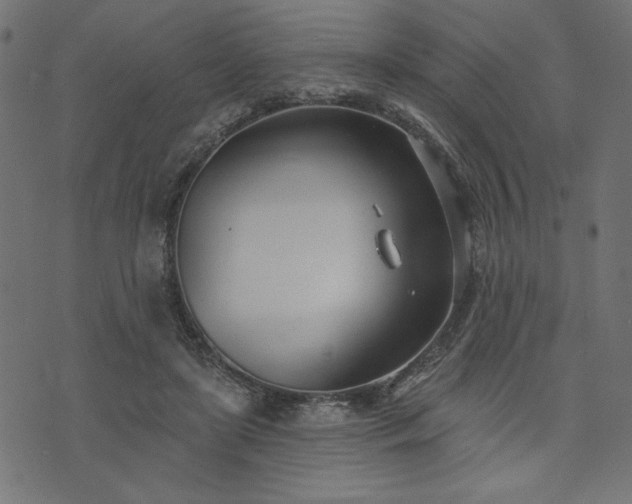 X0000073870451200608171012