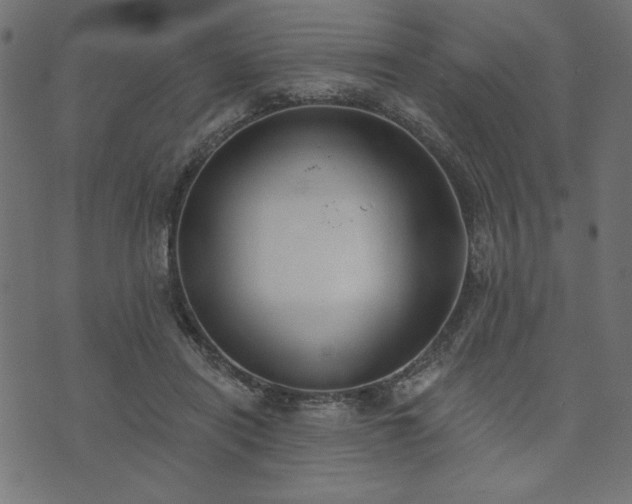 X0000073870454200608171012