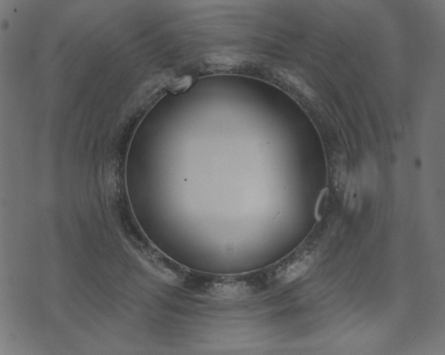 X0000073870455200608171012