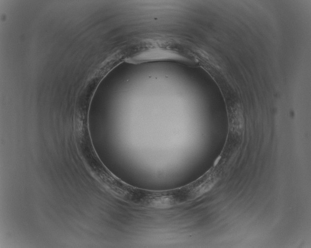 X0000073870456200608171012