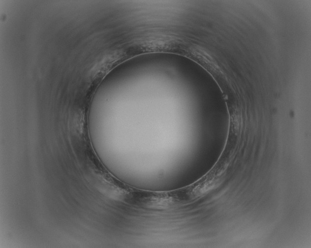 X0000073870458200608171012