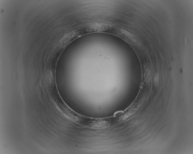 X0000073870459200608171012