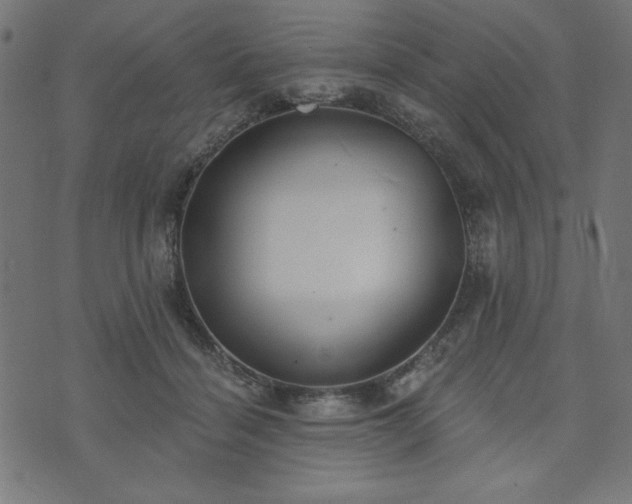 X0000073870460200608171012