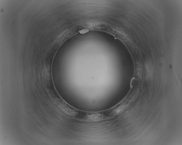 X0000073870461200608171012