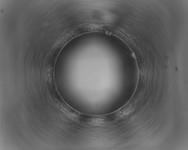 X0000073870462200608171012