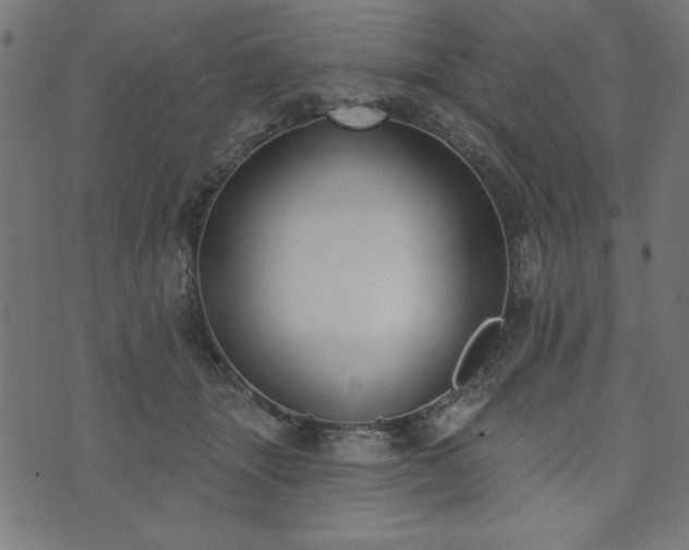 X0000073870463200608171012