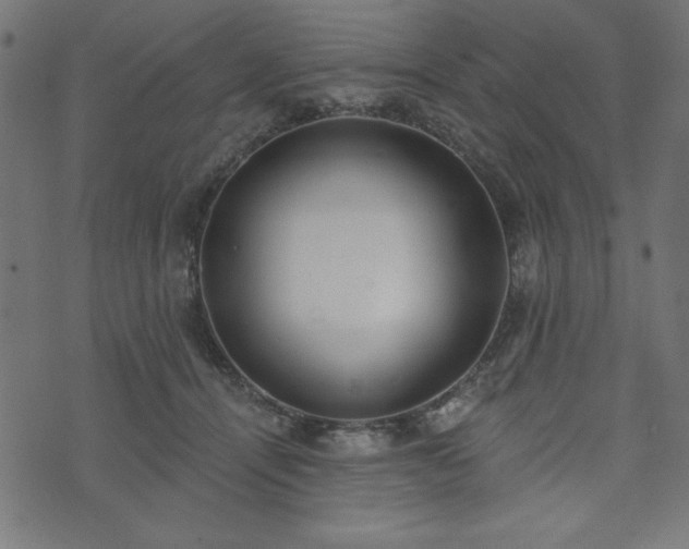 X0000073870464200608171012