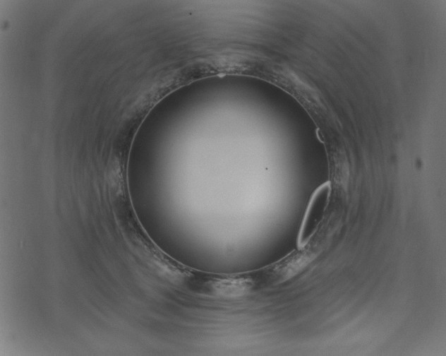 X0000073870465200608171012