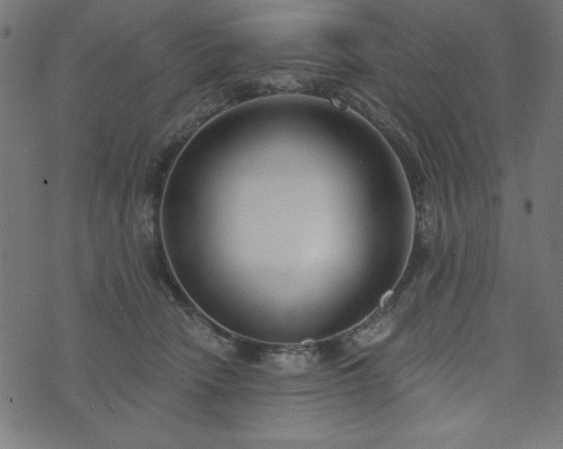 X0000073870466200608171012