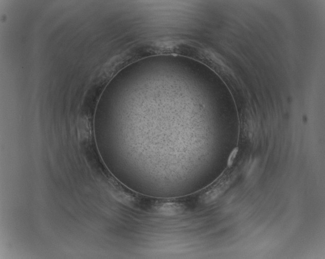 X0000073870467200608171012