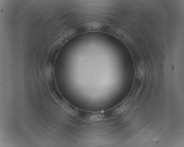 X0000073870468200608171012