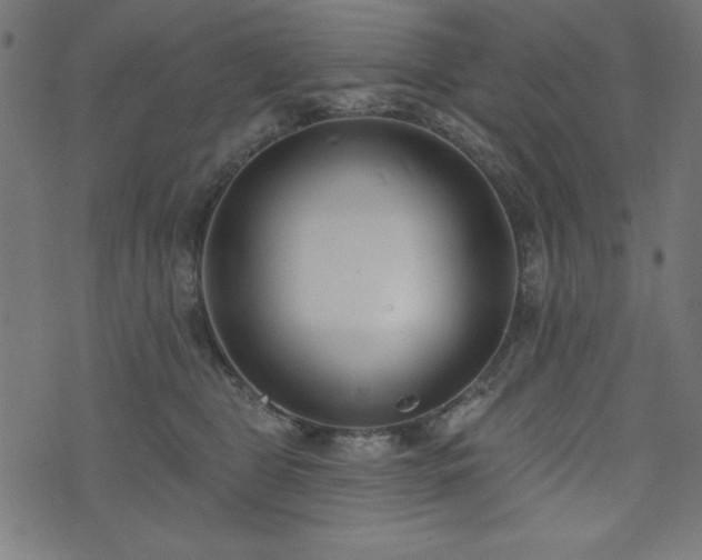 X0000073870469200608171012