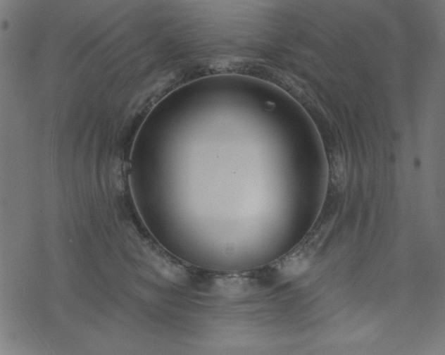 X0000073870470200608171012