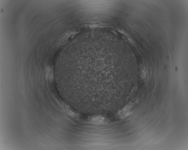 X0000073870471200608171012