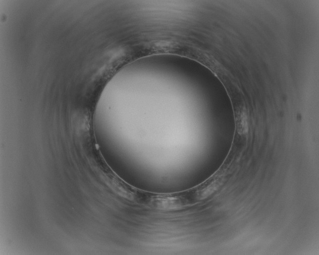 X0000073870472200608171012