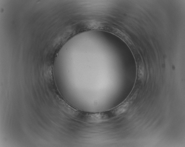 X0000073870473200608171012